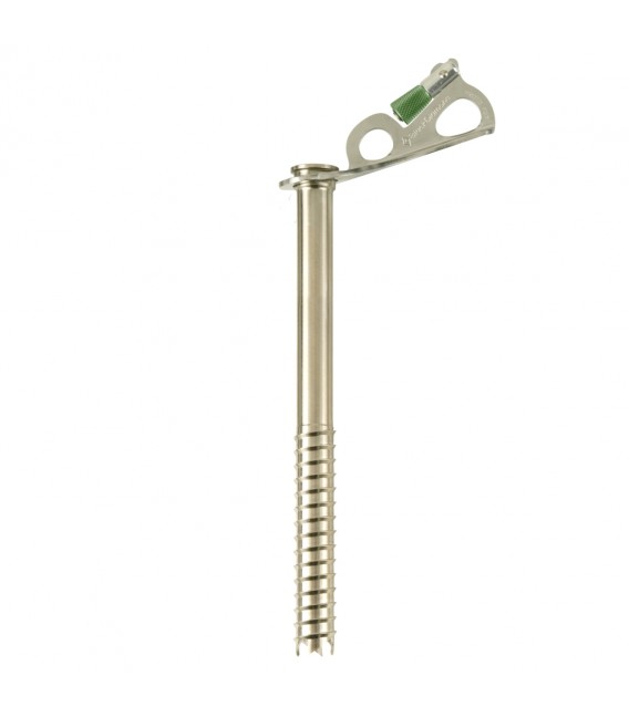 Express Ice Screw 22cm 