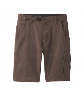 Stretch Zion Short 12''