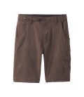 Stretch Zion Short 12''