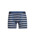 Anatomica Boxer