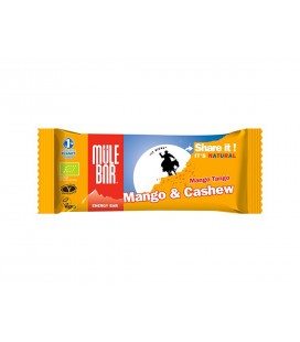 Barre Mango Tango 40g bio
