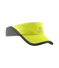 XA VISOR