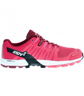 RocLite 290