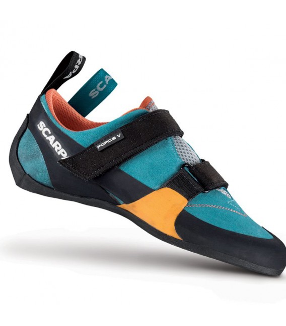 W's Force V
