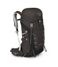 Talon 33