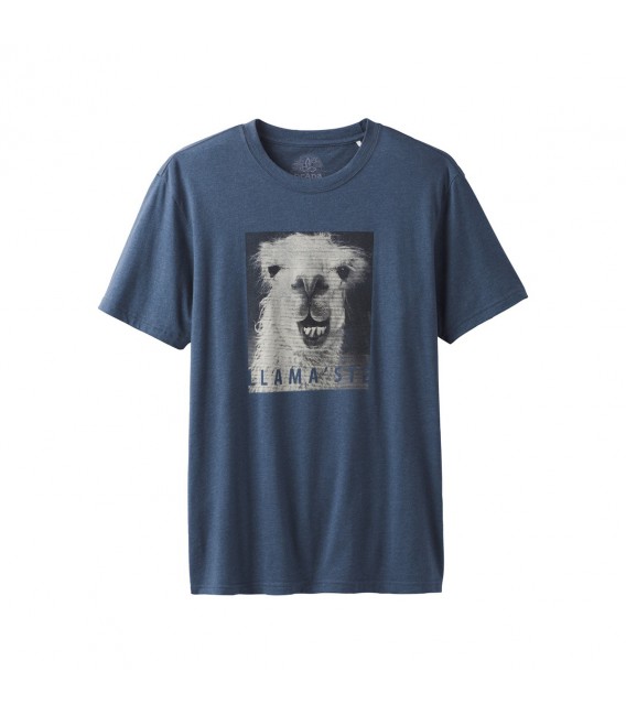Llamaste Journeyman Shirt